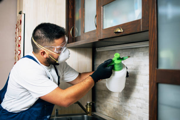 Best Pest Removal Services  in Roaring Spring, PA