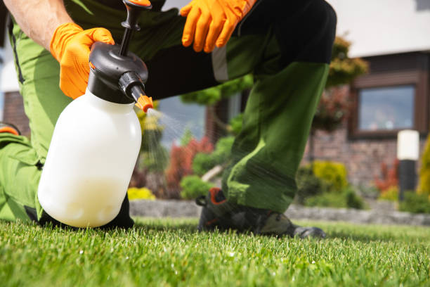 Wasp Removal Services in Roaring Spring, PA