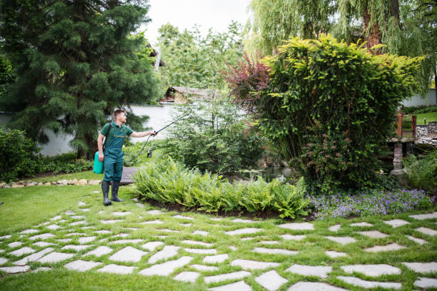 Trusted Roaring Spring, PA Pest Control Experts