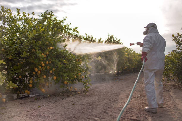Best Exterminator Services  in Roaring Spring, PA