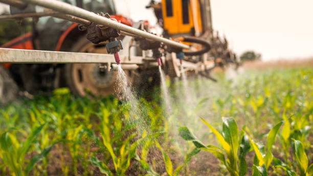Best Commercial Pest Control Services  in Roaring Spring, PA